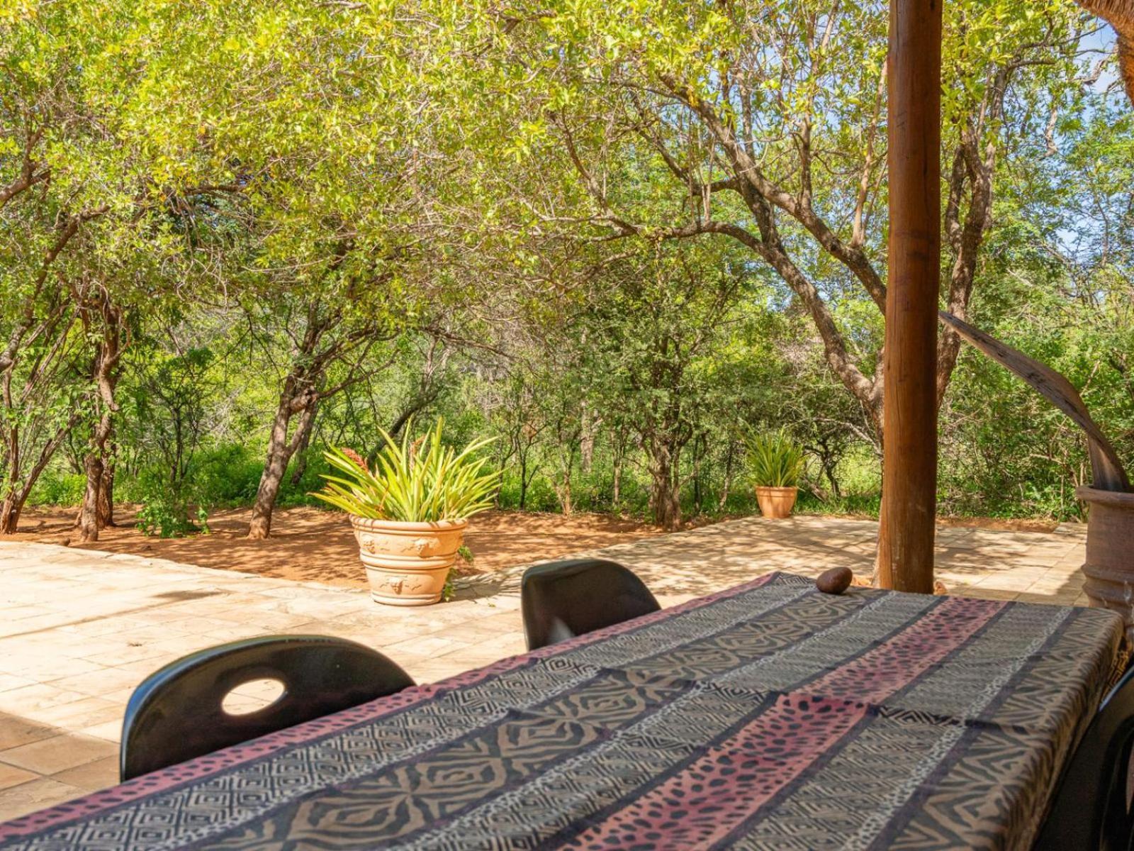 Impala Cottage Hoedspruit Dış mekan fotoğraf
