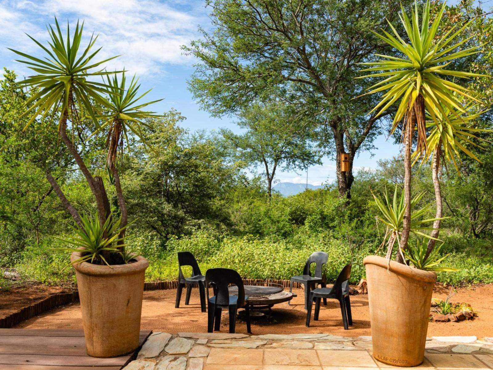 Impala Cottage Hoedspruit Dış mekan fotoğraf